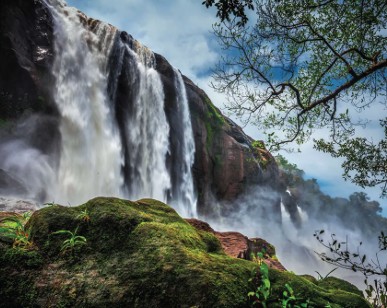 Athirapilly Waterfalls cascading through Western Ghats forests